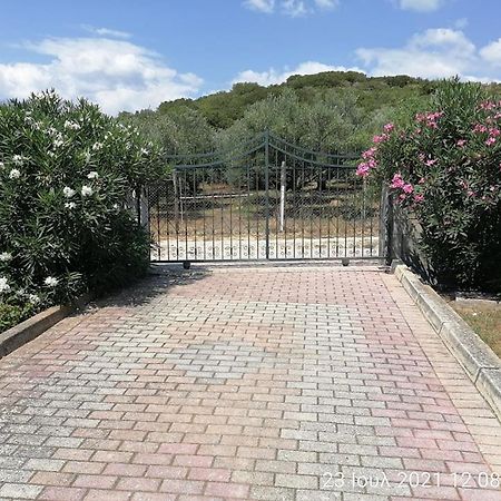 Nea Iraklitsa Elena'S Green House מראה חיצוני תמונה