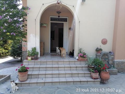 Nea Iraklitsa Elena'S Green House מראה חיצוני תמונה
